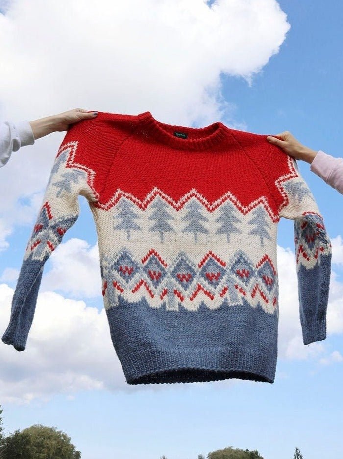 Hand knit wool sweater - WILDE