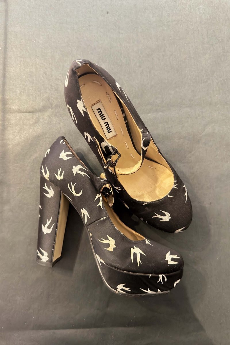 Miu Miu Sparrow pumps - WILDE