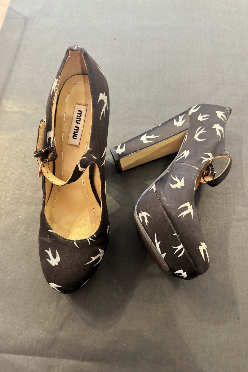 Miu Miu Sparrow pumps - WILDE